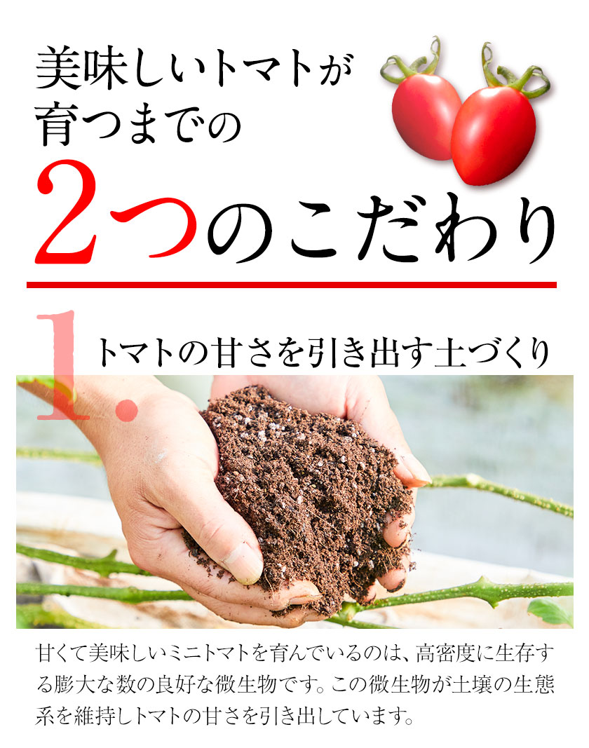 楽天市場】【ふるさと納税】ZEPPIN EX(エクセレント)1kg 平均糖度12度