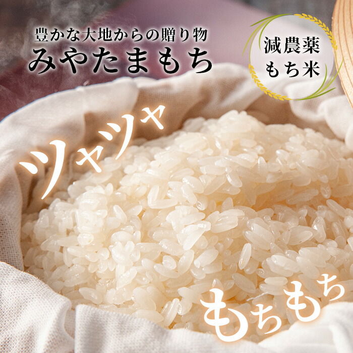 楽天市場】【ふるさと納税】那賀町相生産 みやたまもち 白米 5kg 1袋