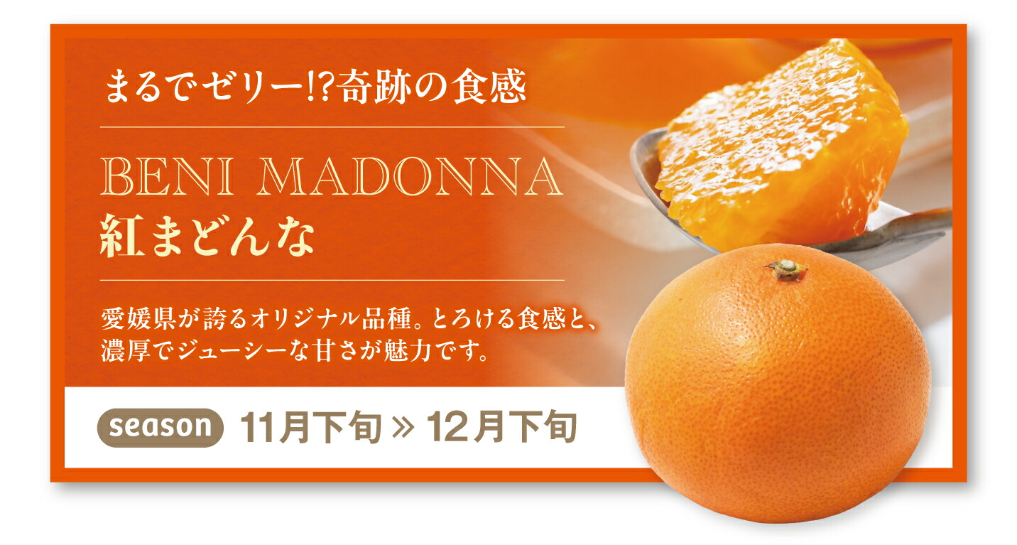 楽天市場 | 愛媛県大洲市 - 紅まどんな