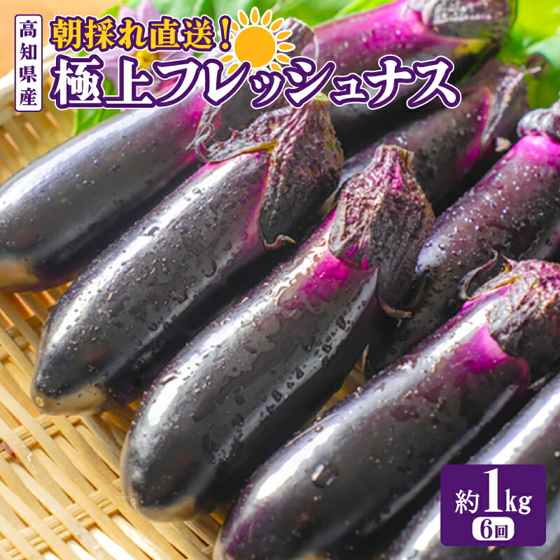 楽天市場】【ふるさと納税】 なす 選べる 1kg 2kg 3kg 3回定期便 6回