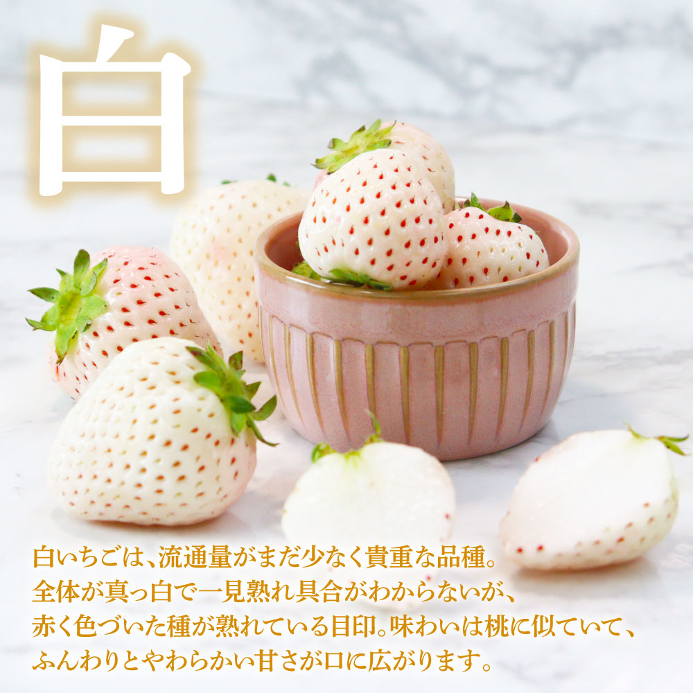 楽天市場】【ふるさと納税】Berry農園 天使のいちご（白いちご）200g×4