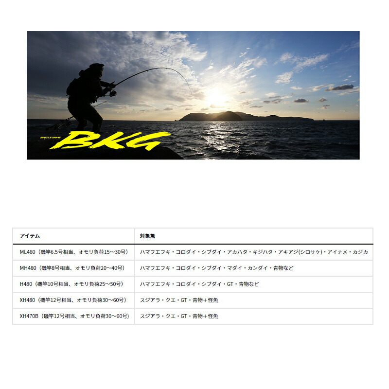 ダイワBKG XH470B 両軸リールモデル