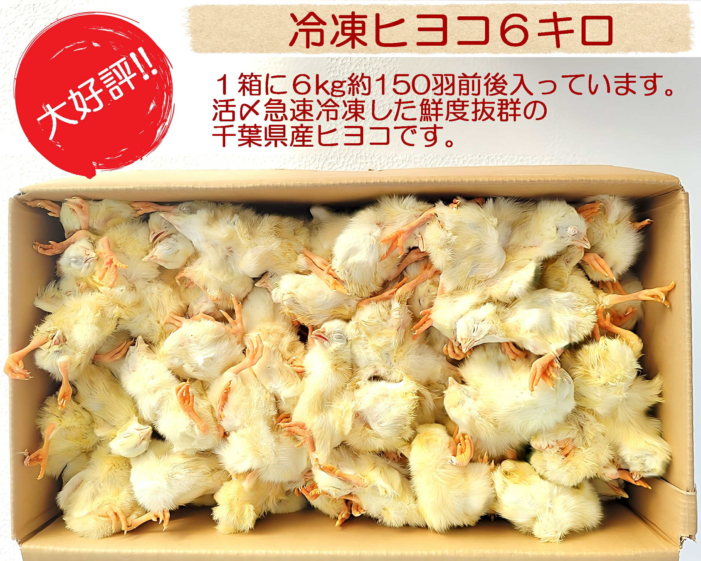 楽天市場】冷凍ヒヨコの通販