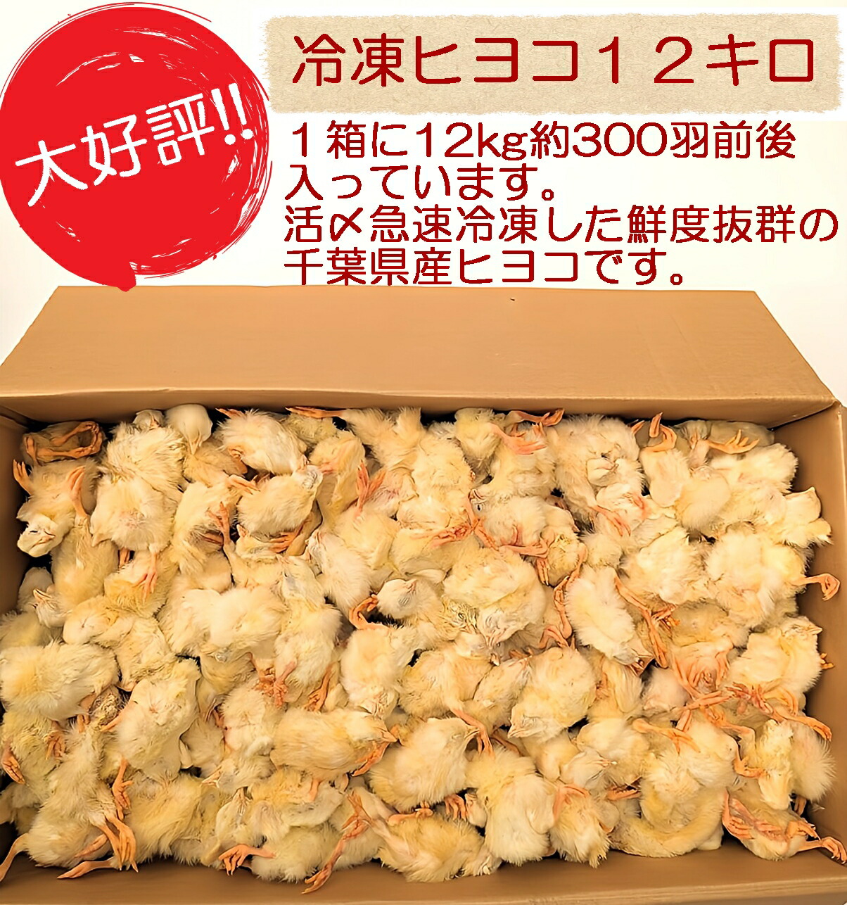 業界最安値‼️冷凍ヒヨコ300羽 業界最安値‼️冷凍ヒヨコ300羽 【公式通販】