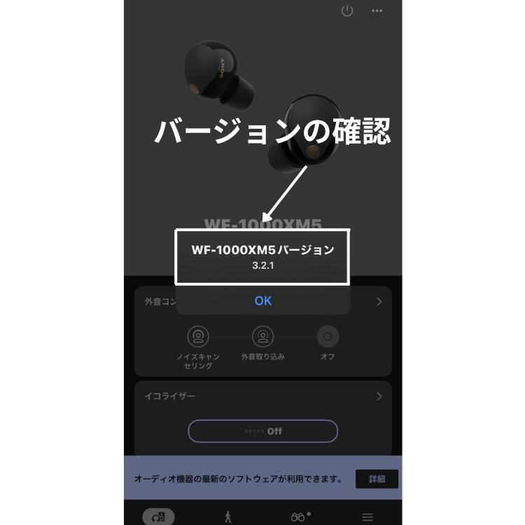 楽天市場】【良い】左耳のみ ソニー WF-1000XM5 ブラック バージョン