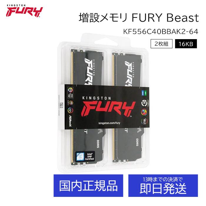 パソコン Kingston Fury 32GB DDR5」の人気商品一覧 | 安い商品を通販