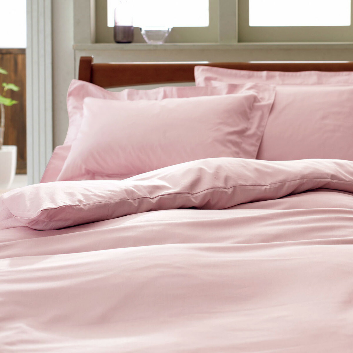 楽天市場】クリアランス☆最大2万円OFFクーポン＆P10 西川 掛け布団