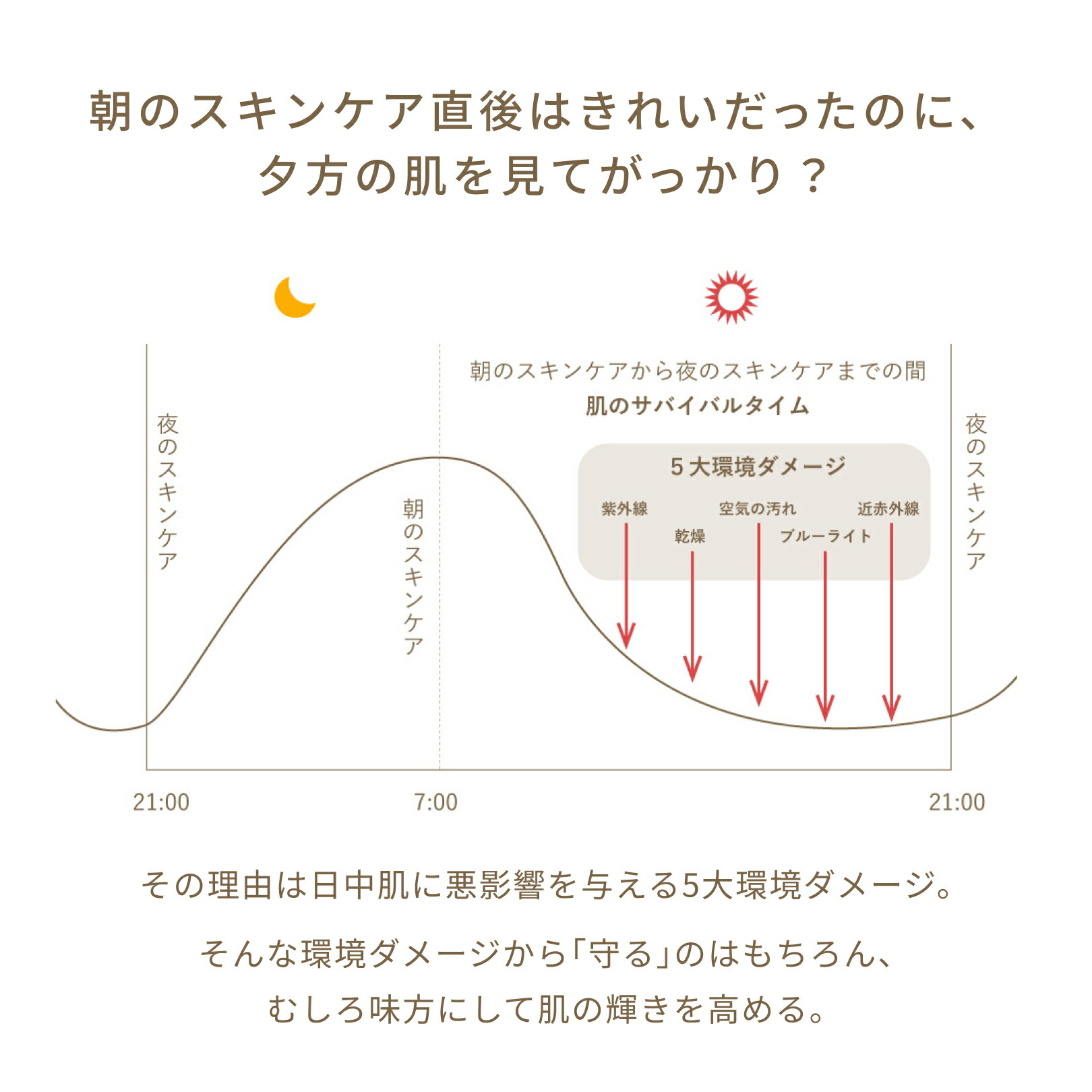 楽天市場】FATUITE公式 ブライテストラインフルセット ファースト