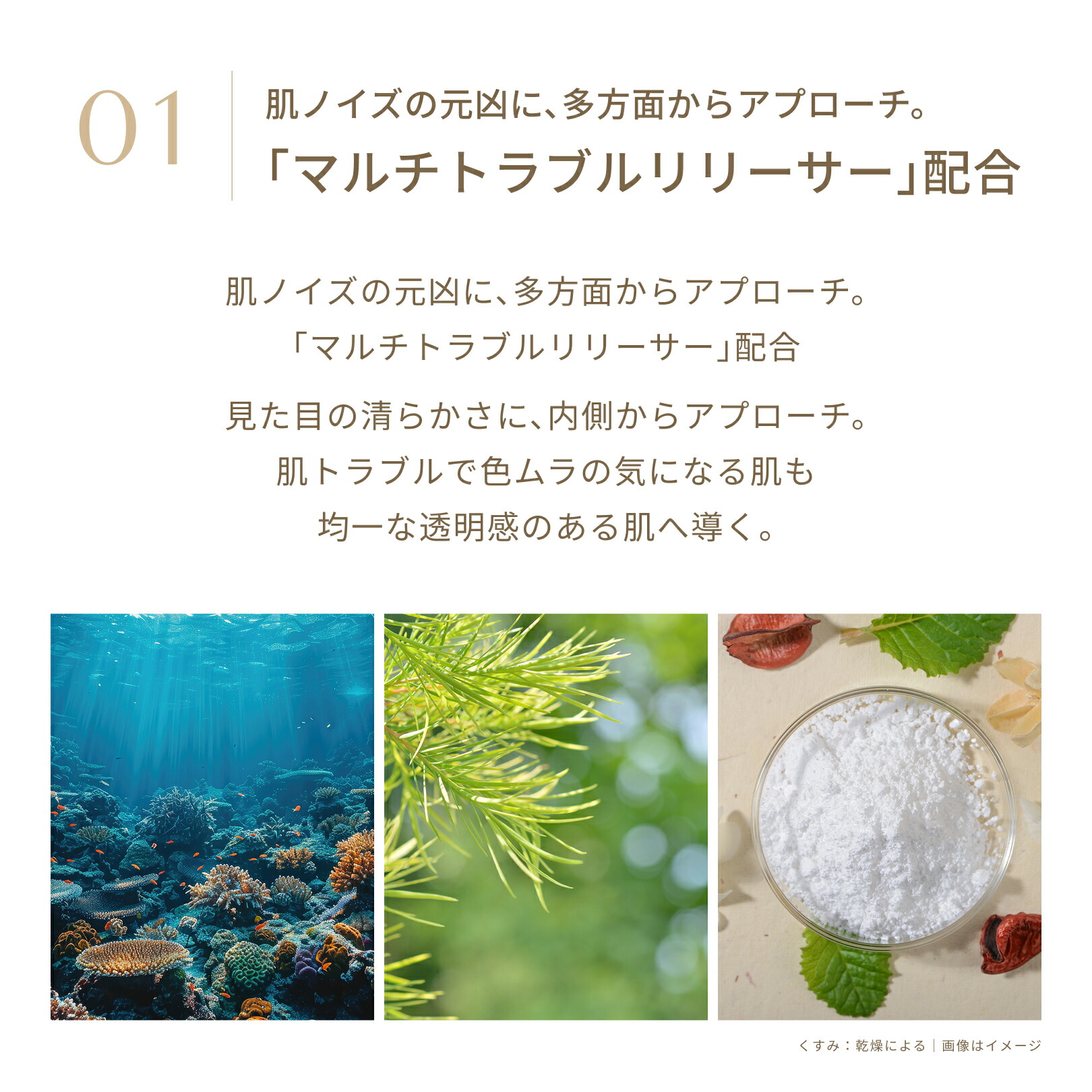 楽天市場】FATUITE公式 ブライテスト リリーシングローションa 乾燥