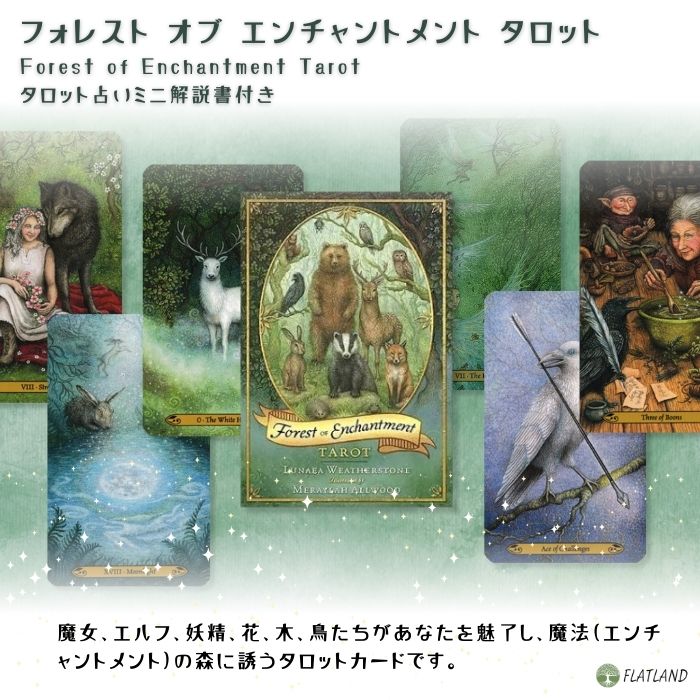 人気メーカー新作✨心が洗われるような美麗イラスト✨森の精霊たちの