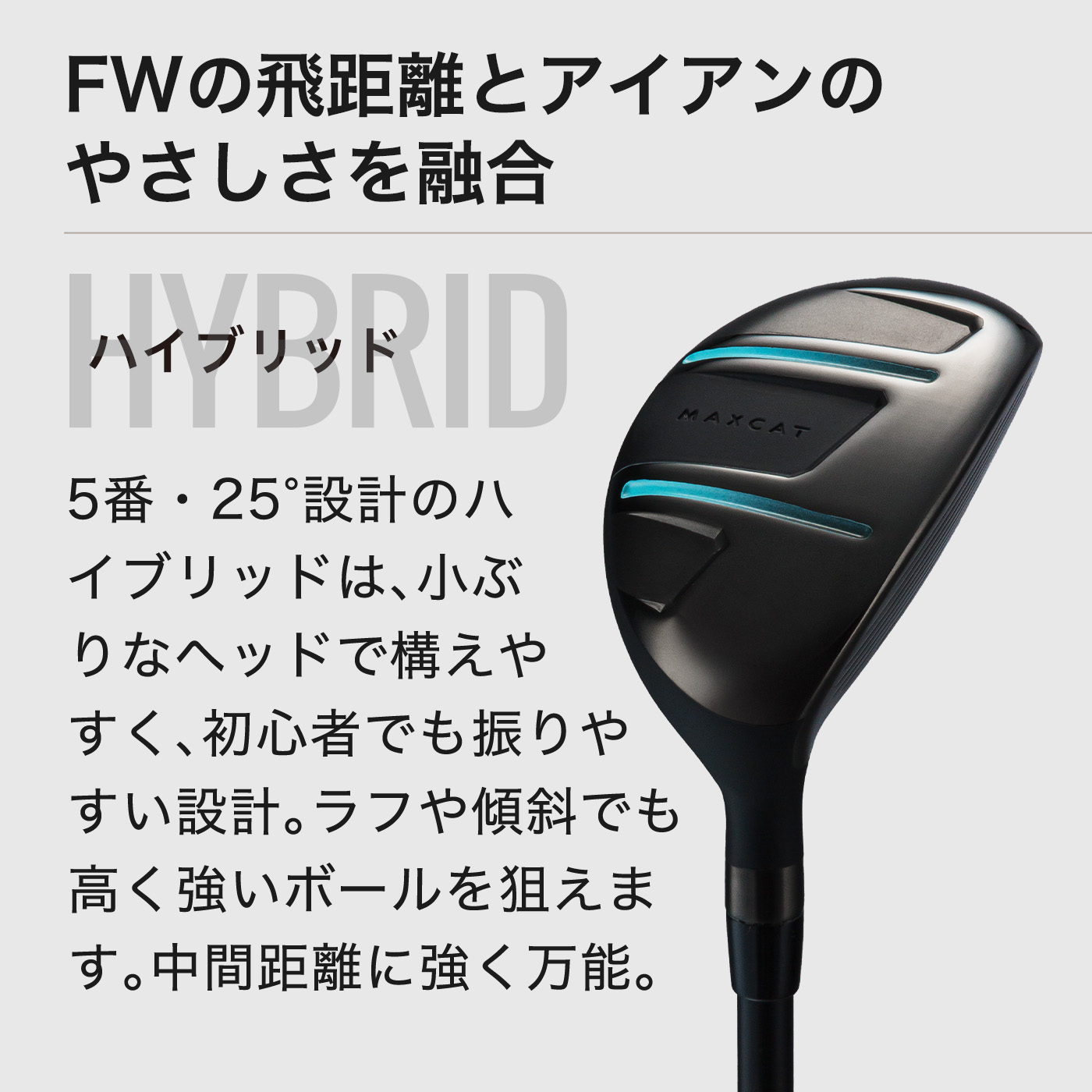 楽天市場】＼半額祭／LINE登録で500円OFF☆贅沢 ゴルフクラブセット