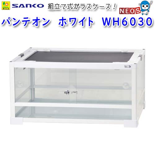 楽天市場】パンテオン6030の通販