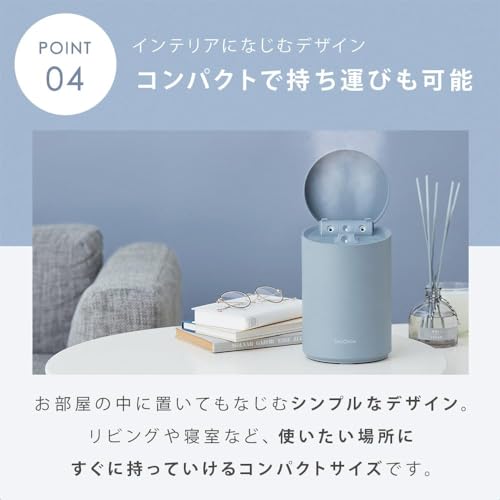 楽天市場】SALONIA サロニア | ピュアブライト スチーマー 美容