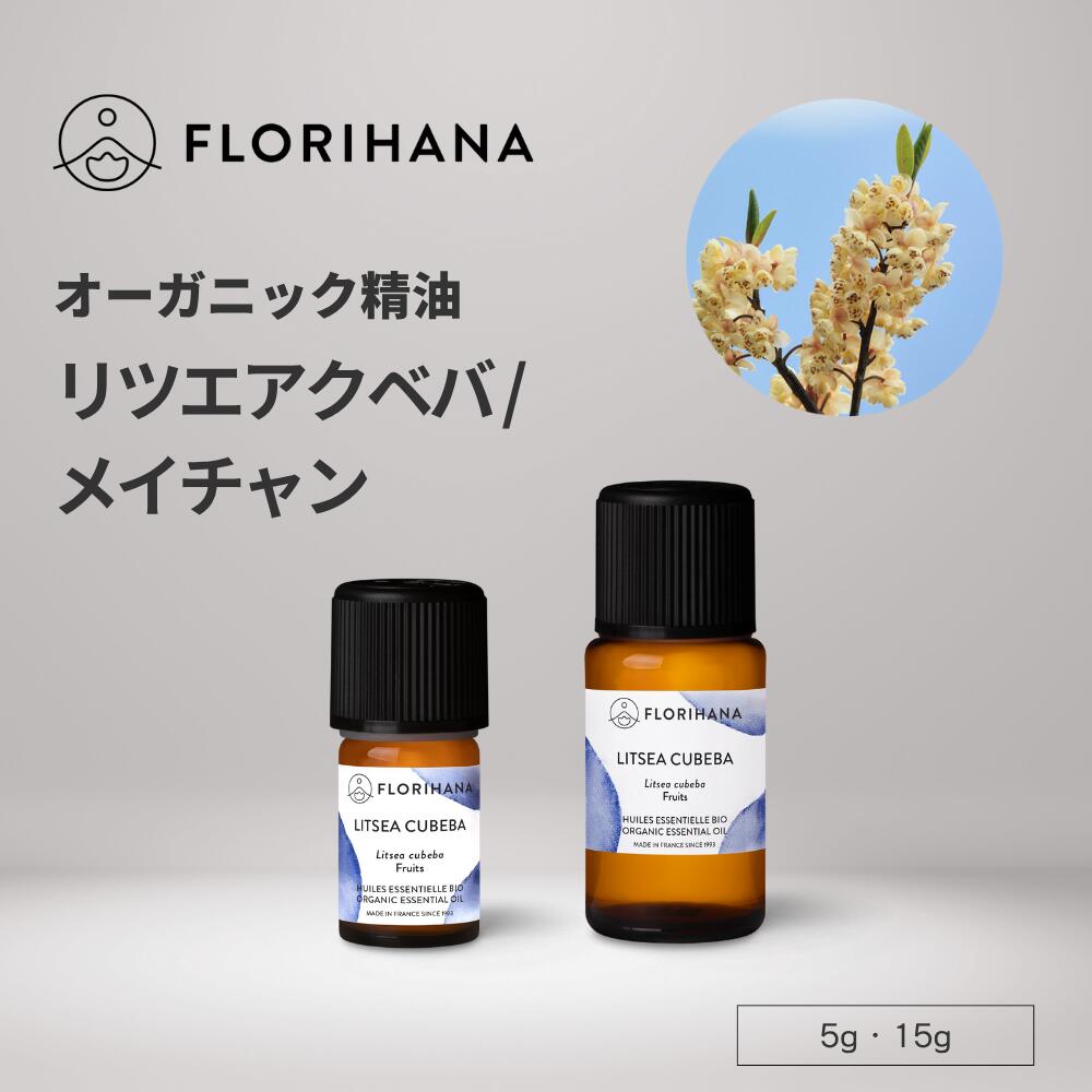 楽天市場】【フロリハナ公式】リツエアクベバ (メイチャン/リトセア