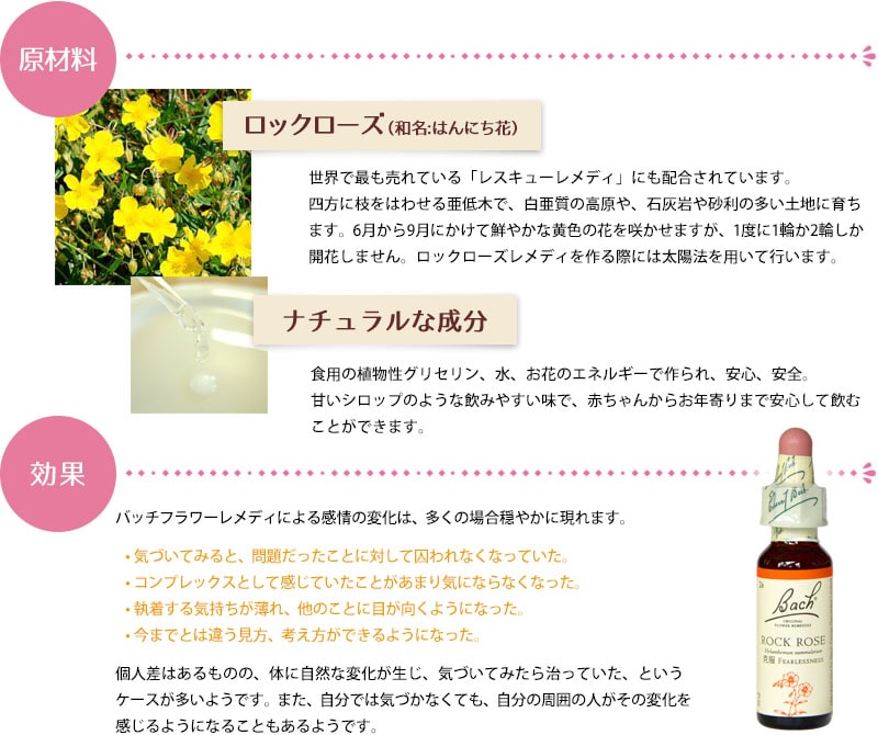 楽天市場】【お買い物マラソン最大2222円割引クーポン配布中】バッチ