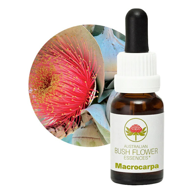 楽天市場】マクロカーパ《オーストラリアンブッシュ