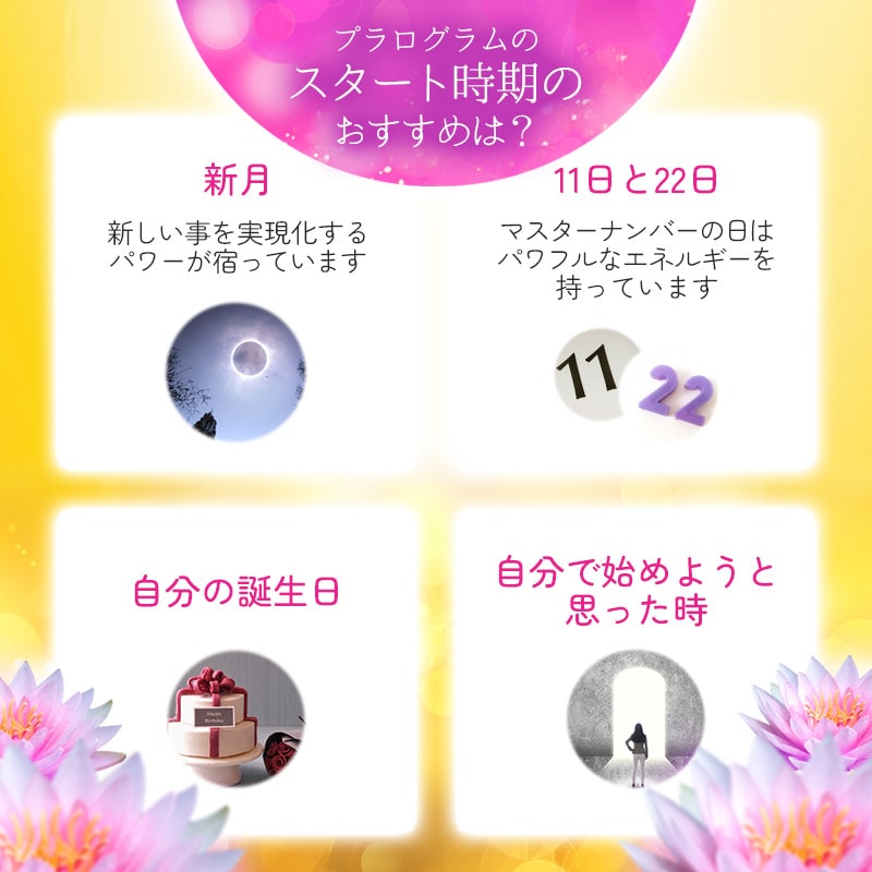 楽天市場】アバンダンスプログラムセット（日本語訳付）《パシフィック