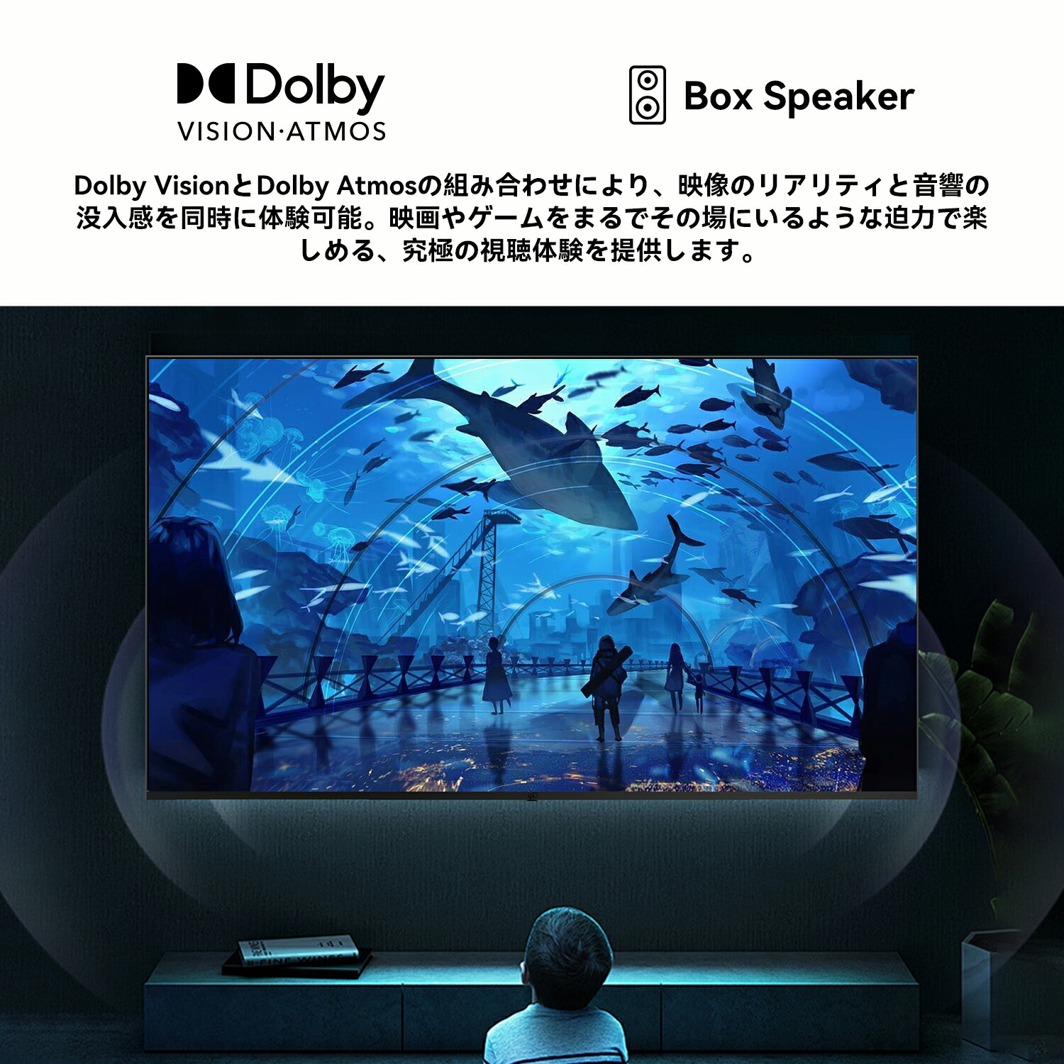 楽天市場】【ポイント10％還元！】チューナーレス テレビ 43V型 壁掛け