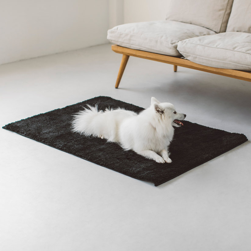 楽天市場】【犬 ラグ】ケージ ゲージ シート マット 簡単 かんたん