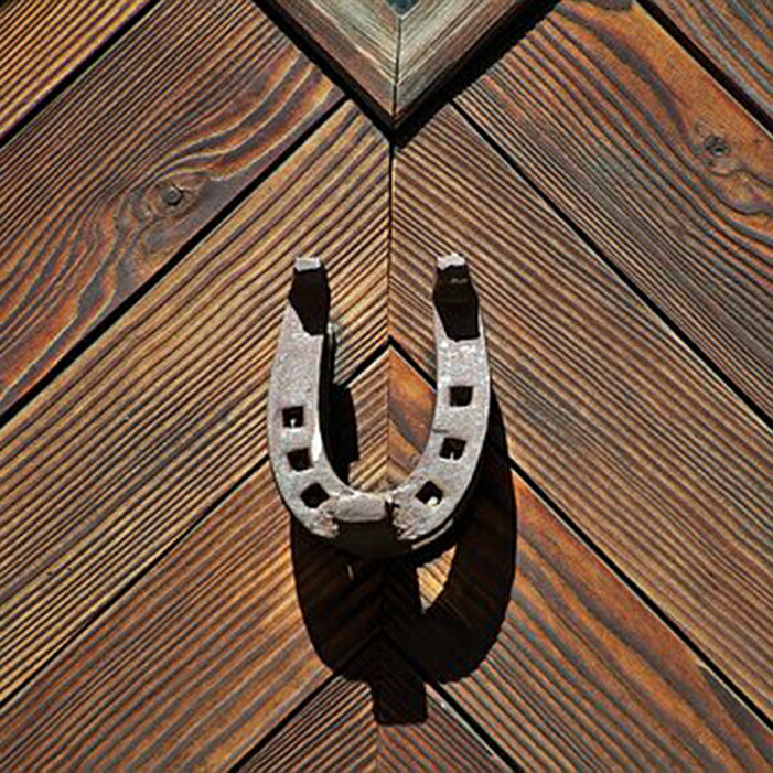 楽天市場】馬蹄モチーフピンバッジ バッチ ピンズ 蹄鉄 ラペルピン