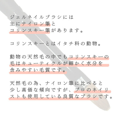 楽天市場】b-r-s ブルーシュ アート用ブラシ 802 コリンスキー 3D