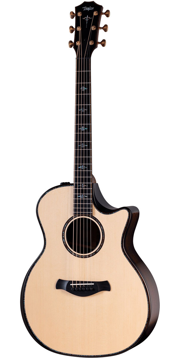 楽天市場】Taylor（テイラー）Builder's Edition 914ce Natural