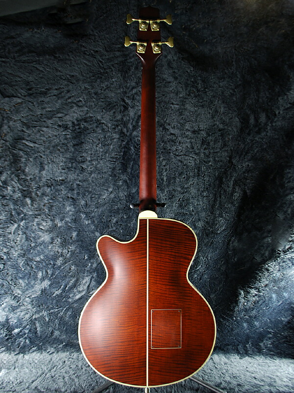 楽天市場】【受注生産】Takamine PB Series B10 新品 専用ハードケース