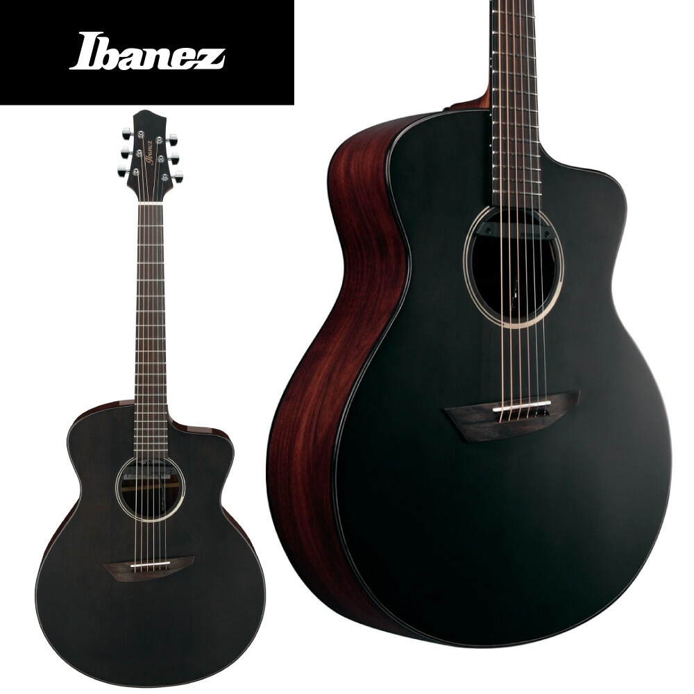 Ibanez AC419E-OM アコースティックギター（エレアコ） エレアコギター