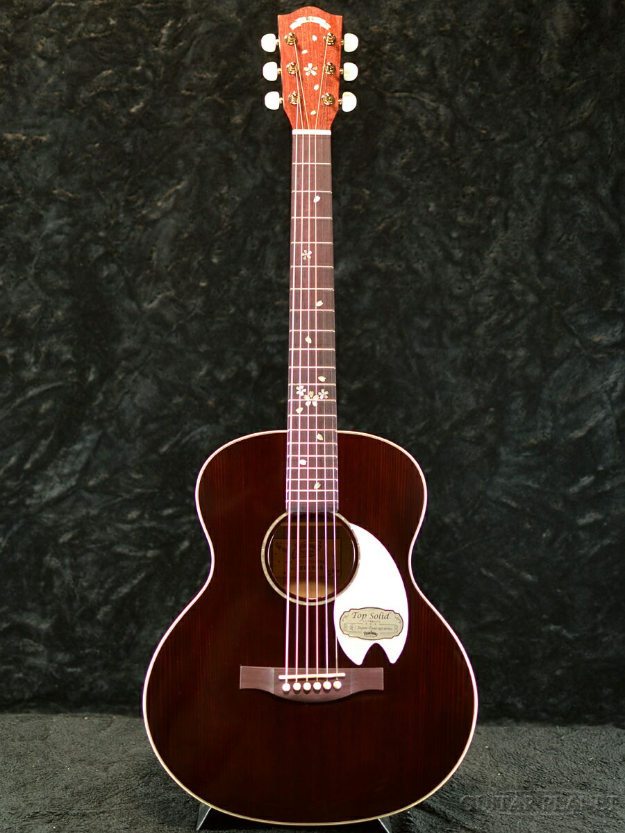 ヘッドウェイ アコースティックギター エレアコ」の人気商品一覧