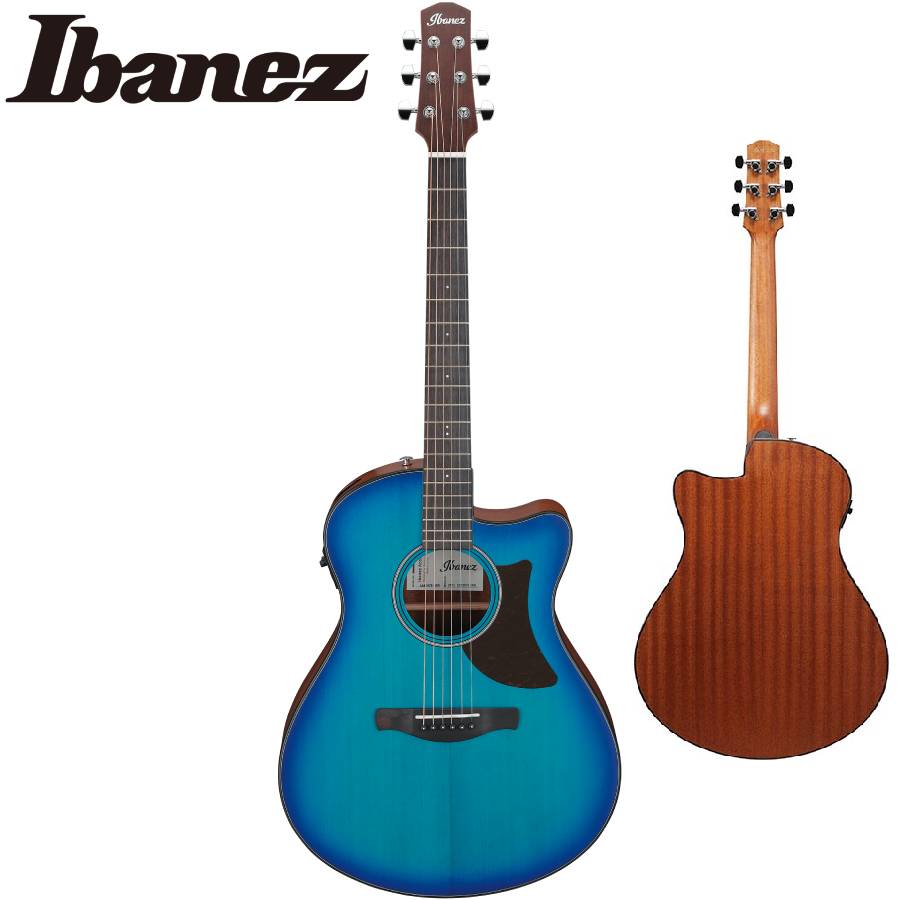 アイバニーズ Ibanez エレアコ」の人気商品一覧 | 安い商品を通販