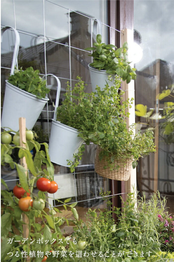 楽天市場】【ガーデンボックス オプション品】トレリス メッシュ