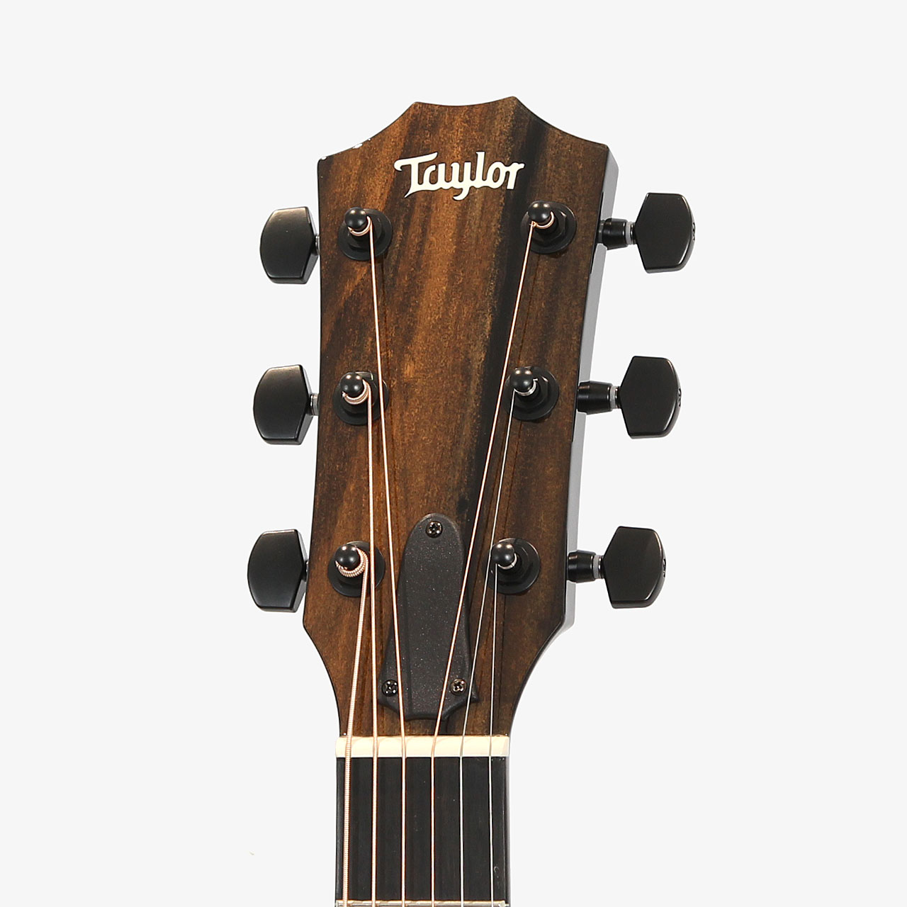 楽天市場】Taylor テイラー 214ce BLK Plus エレアコ アコースティック
