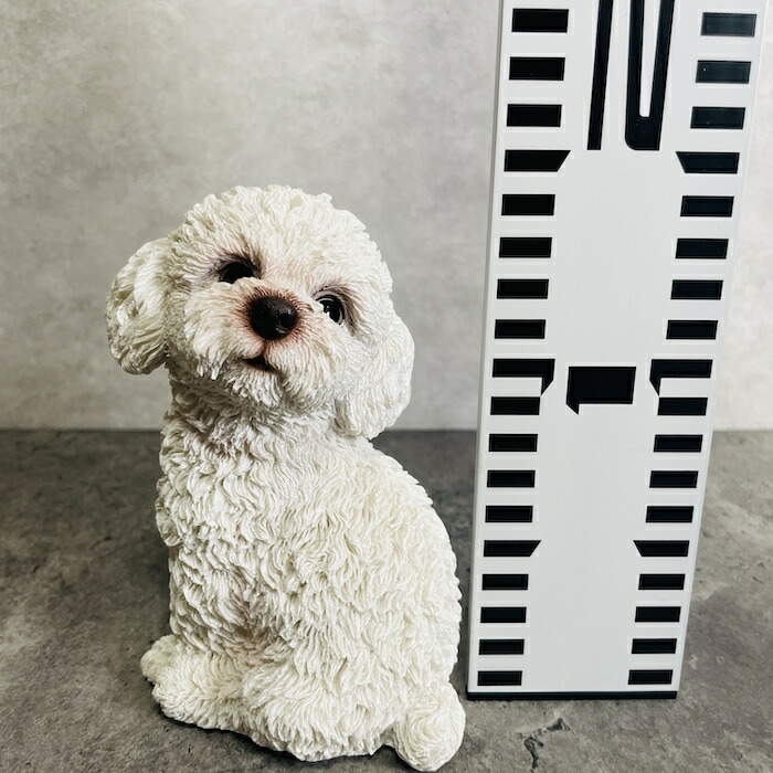 楽天市場】かわいい 犬 置物 振り返るトイプードル 白 小 玄関 動物