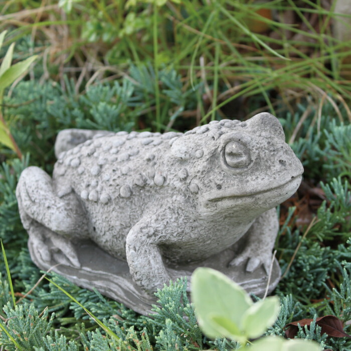 楽天市場】カエル WL22 蛙 かえる ガーデニング オーナメント イギリス