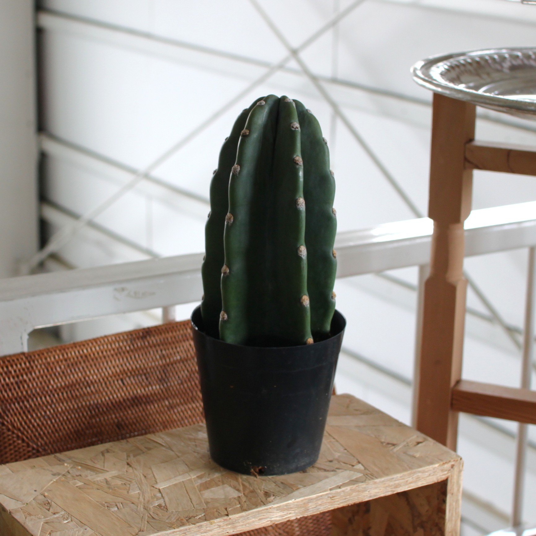 楽天市場】【SS限定☆エントリーで＋P10倍＆MAX15％OFFクーポン】柱