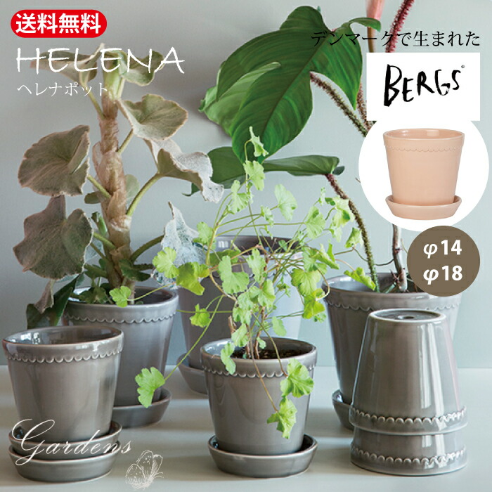 楽天市場】バーグスポッター ヘレナ ポット 皿付き □ 釉薬