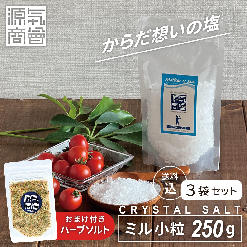 楽天市場】＼クーポンで20％OFF☆23日1:59まで／【送料込み／選べる