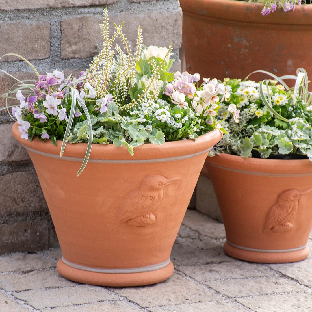 楽天市場 | ガーデンマート - Whichford Pottery ～ガーデンマート