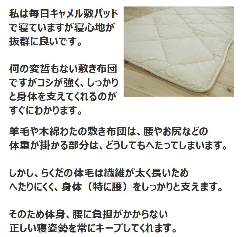 楽天市場】IWATA キャメル敷パッド専用カバーをプレゼント 【関連