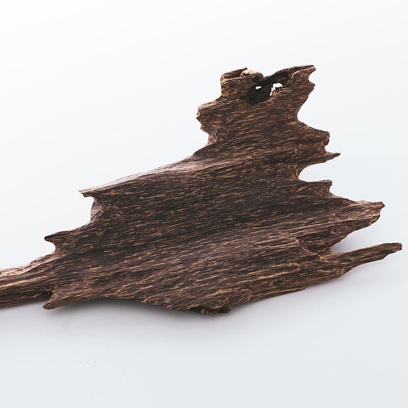 古い天然香木 沈香原木 124g 茶道具 タニシャム沈香伽羅聞香 香道具