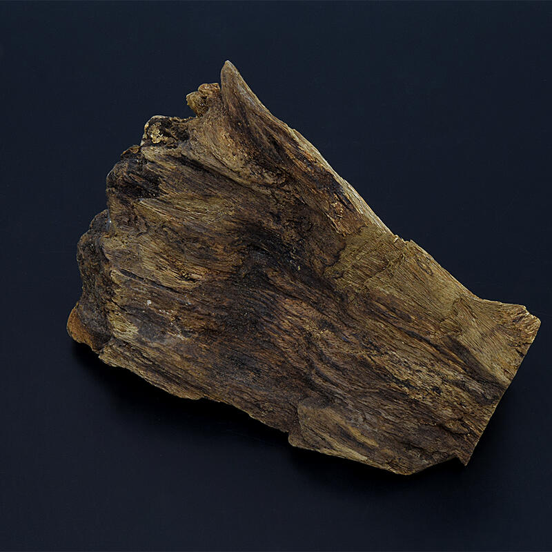 楽天市場】【沈香・香木】タニ沈香（約288グラム 長さ約17.5センチ