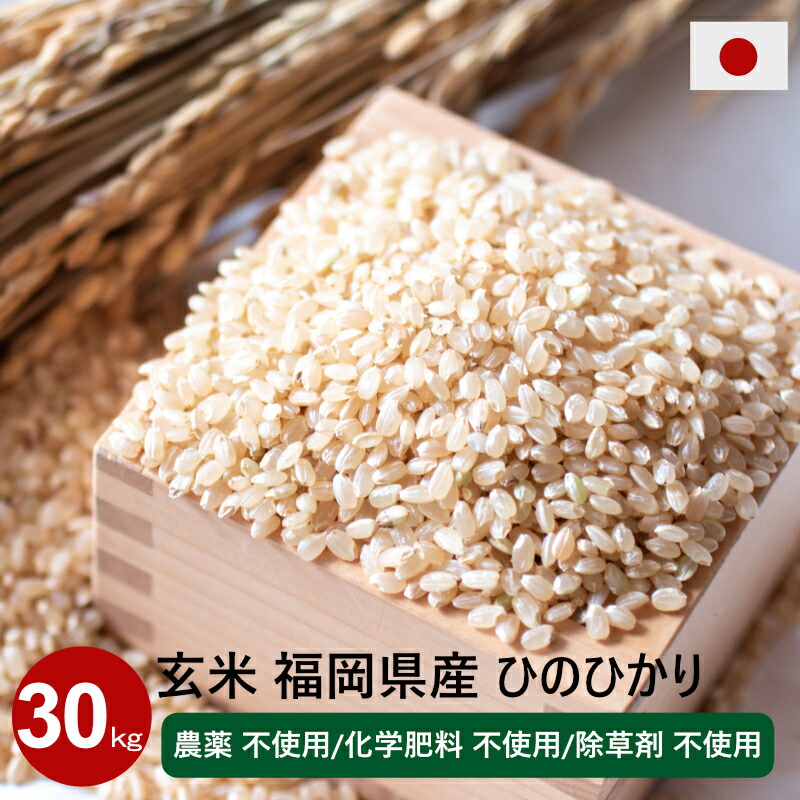 楽天市場】【楽天市場ランキング1位獲得】【令和7年度産新米】玄米