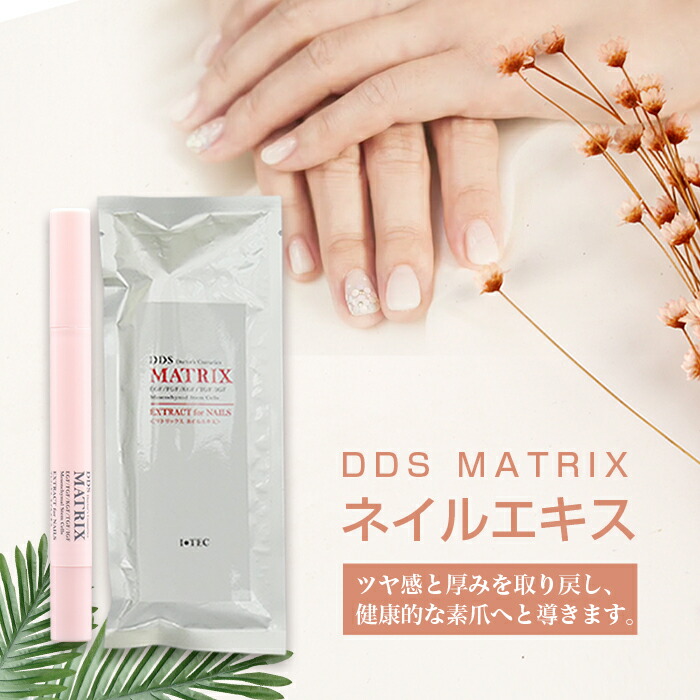 楽天市場】DDS マトリックス ネイルエキス 爪 幹細胞 指先美人 美容液