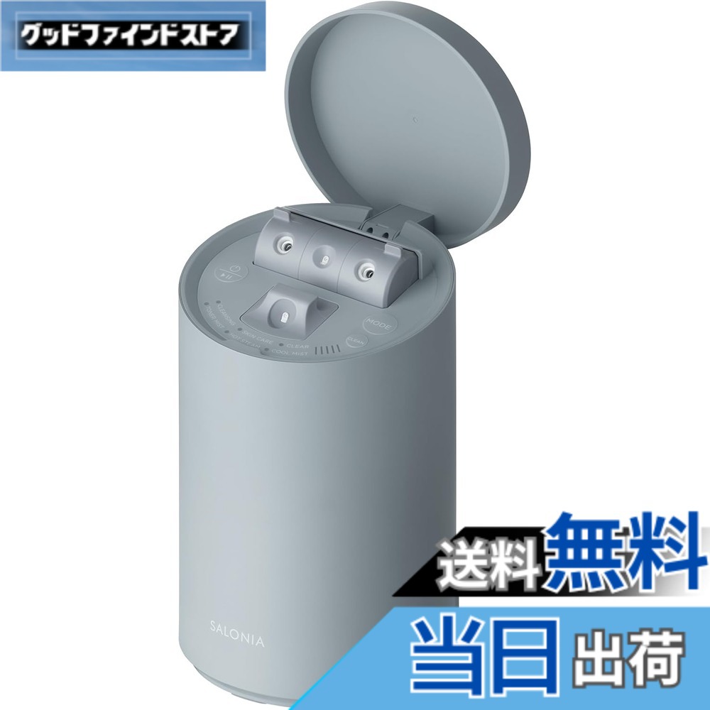 楽天市場】【送料無料】SALONIA サロニア ピュアブライト スチーマー
