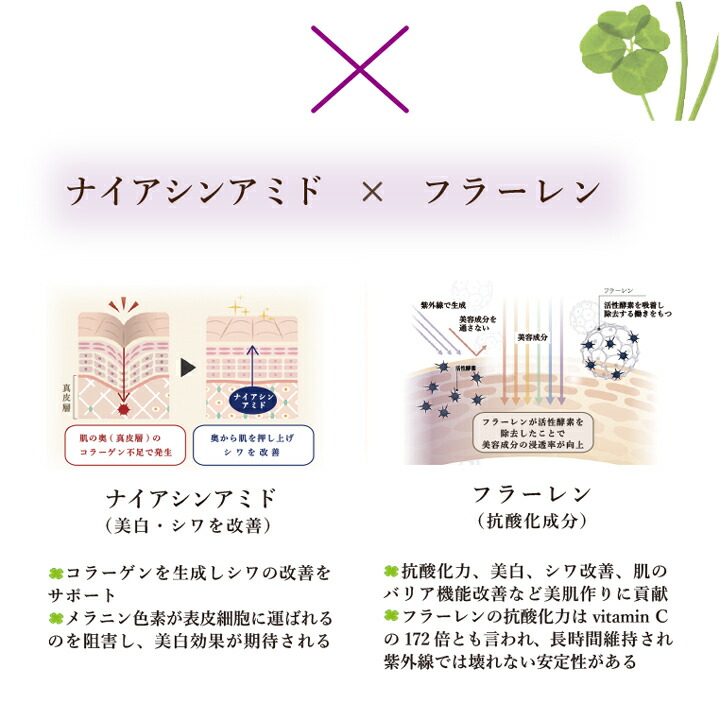 楽天市場】Leena エクラ セラム オールインワンで与えたうるおいを逃さ