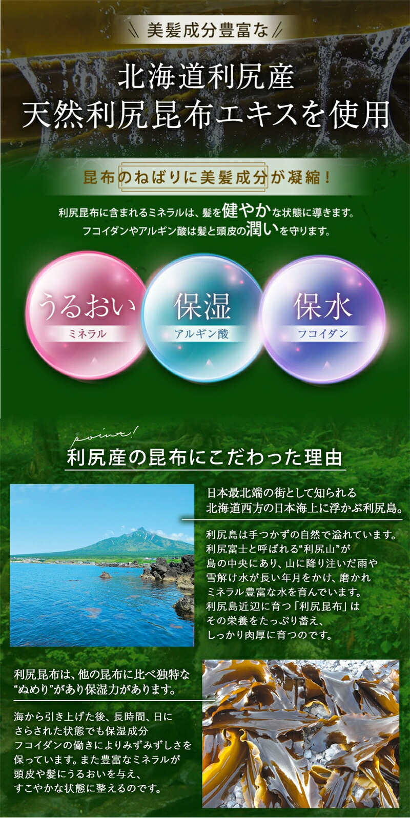 楽天市場】【3/3 20:00〜10%OFF & 送料無料】利尻炭酸カラーシャンプー