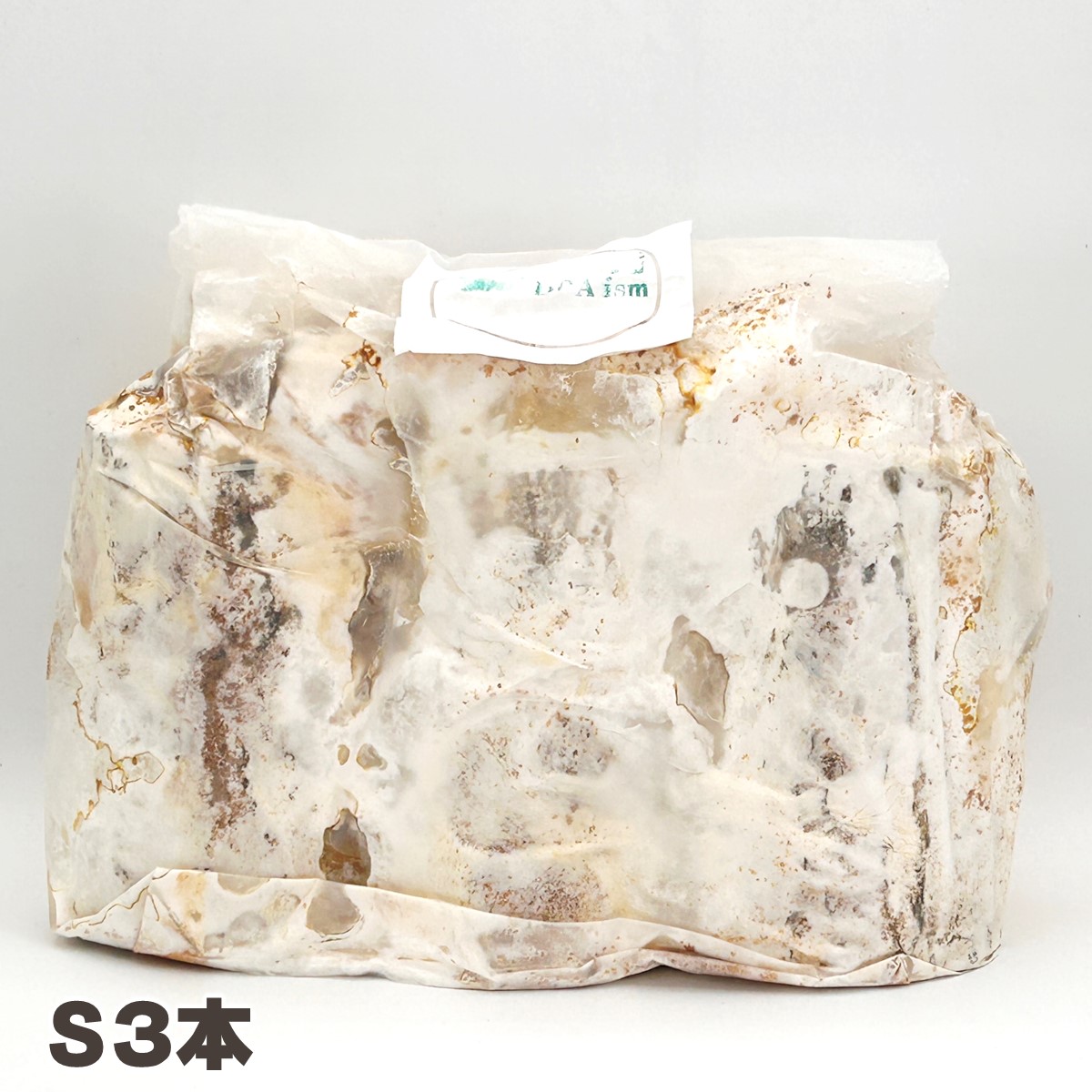 楽天市場】【DDA】植菌レイシ材 L1～SS5本 加水不要 dda クワガタ 産卵