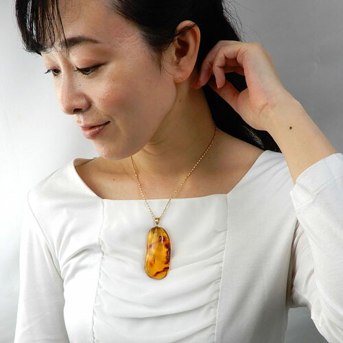 楽天市場】＼3月3日まで臨時休業中／化石 虫入り琥珀 ペンダントトップ