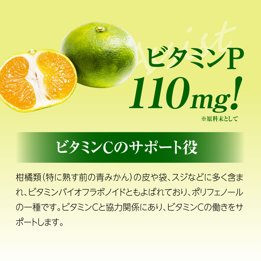 ▽ インナーパラソル 16200 finebase インナーパラソル16200 60粒入り