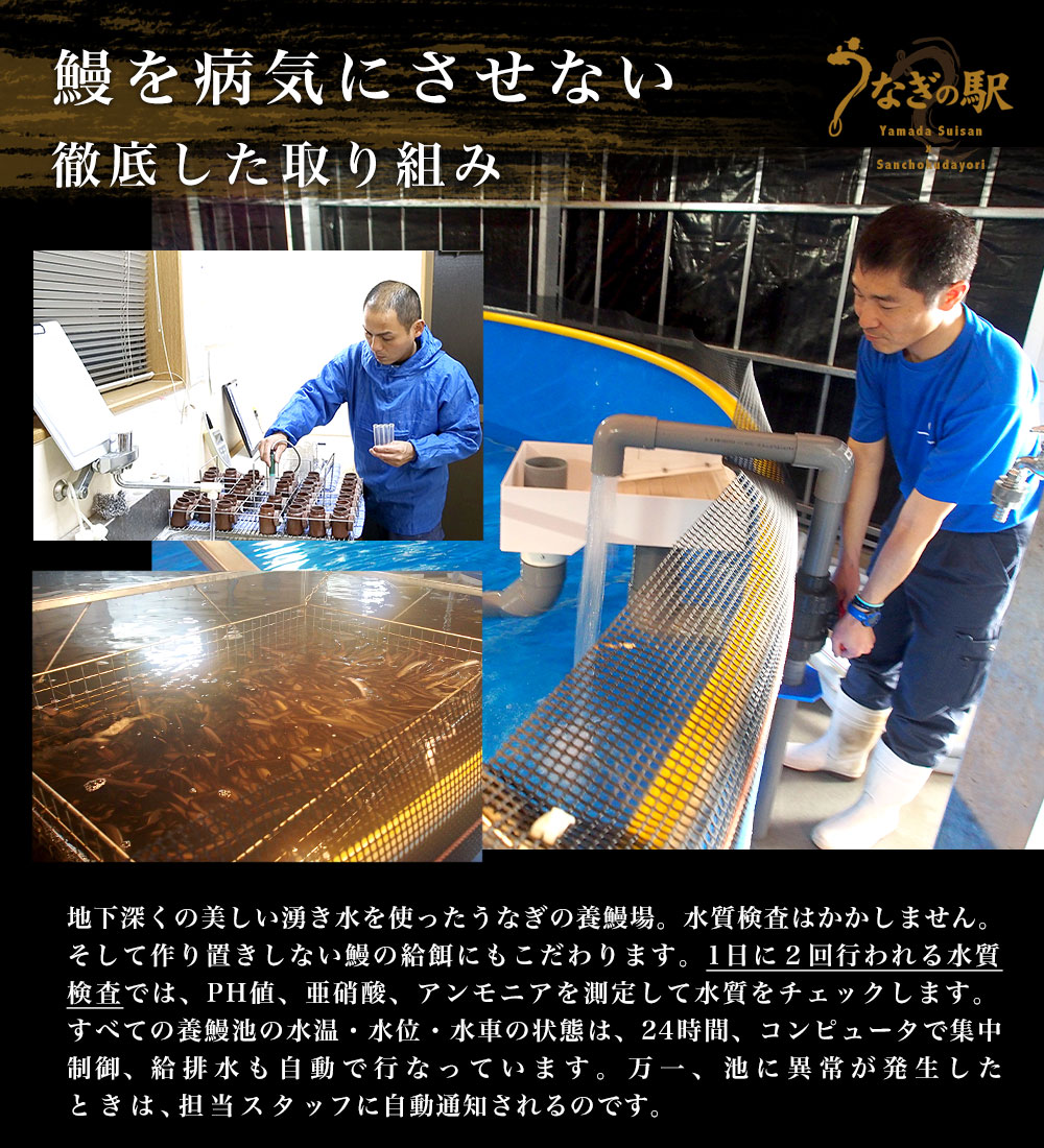 楽天市場】鹿児島県産 山田水産の極上国産うなぎ蒲焼「山田の粋